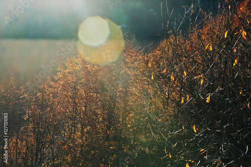 Fototapeta Naklejka Na Ścianę i Meble -  Top of trees on sun beam lights on autumn mountains.