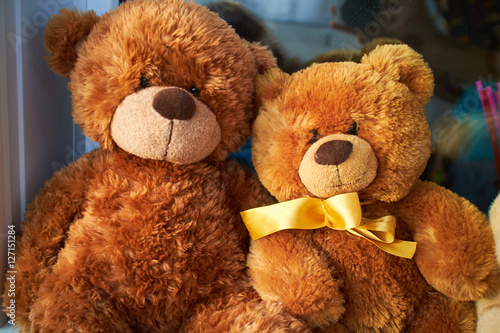  teddy bears on the window © graghine