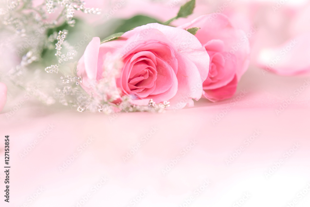 Fototapeta premium border of soft Beautiful fresh sweet pink rose