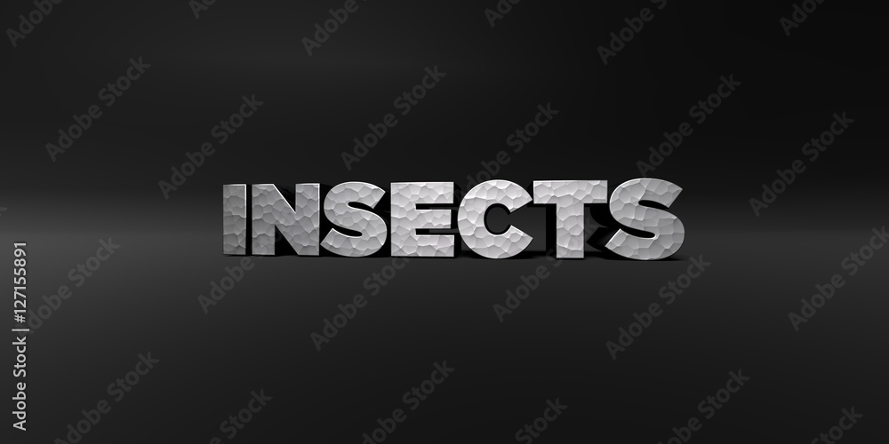 INSECTS - hammered metal finish text on black studio - 3D rendered royalty free stock photo. This image can be used for an online website banner ad or a print postcard. INSECTS - hammered metal finish text on black studio - 3D rendered royalty free stock photo. This image can be used for an online website banner ad or a print postcard.