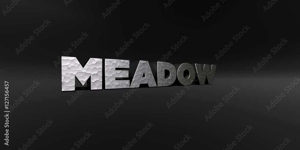 Obraz premium MEADOW - hammered metal finish text on black studio - 3D renderowane zdjęcia royalty free. Ten obraz może być użyty do banera reklamowego online lub pocztówki drukowanej.