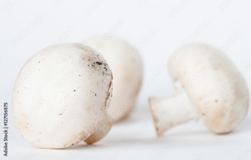 White mushrooms on neutral background