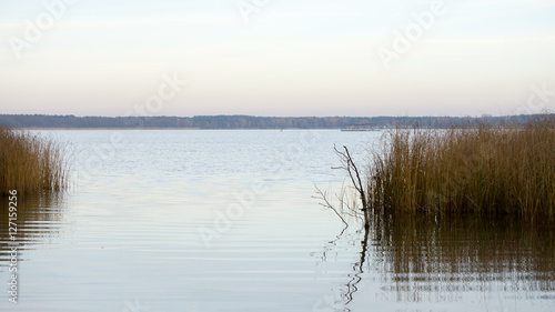 Blick auf einen See und Himmel durch einen Schilfguertel