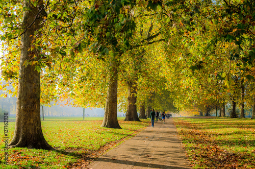 Autumn, Hyde Park, 2015