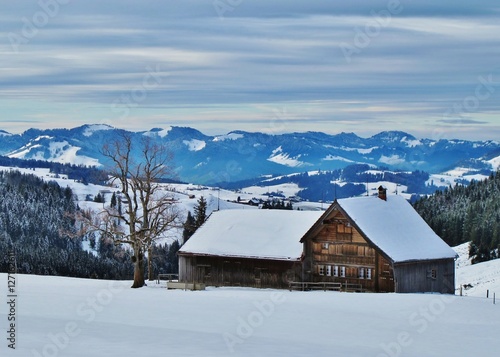 Winterlandschaft mit Bauernhaus © Franz Gerhard