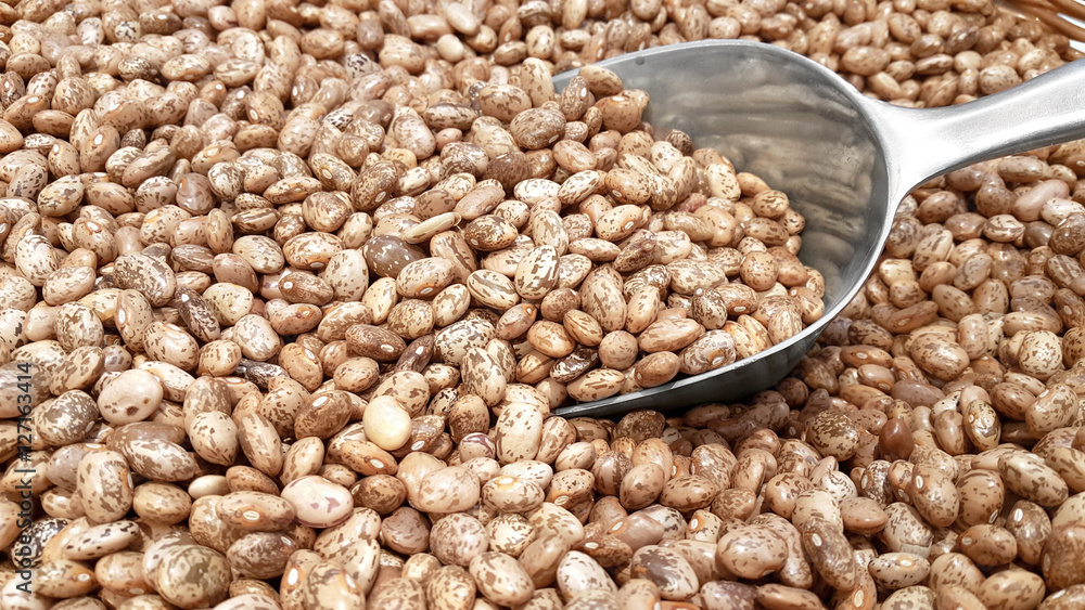 Obraz premium Pinto Beans and a Transfer Scoop