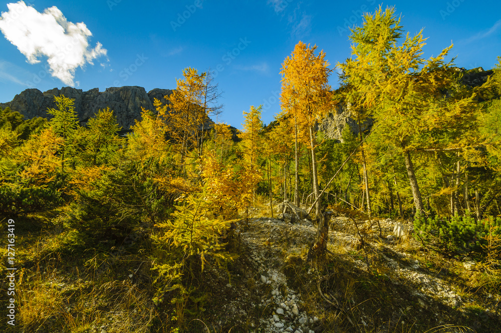 Autumn in the Julian Alps, the pass Wrszicz, Slovenia