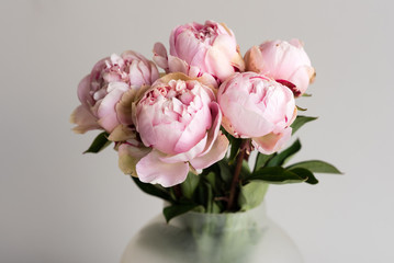 Papier peint photo Pivoines Pivoines roses en vase transparent  © Natalie Board
