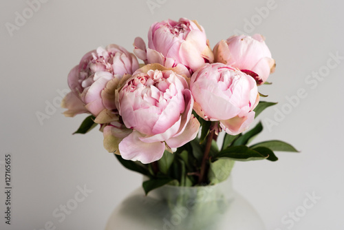 Fotografie, Obraz Close up of pink peonies in glass vase against neutral background (selective foc