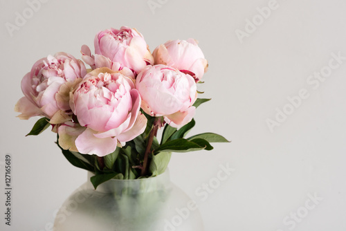 Close up of pink peonies in glass jar against neutral background with copy space to right (selective focus)
