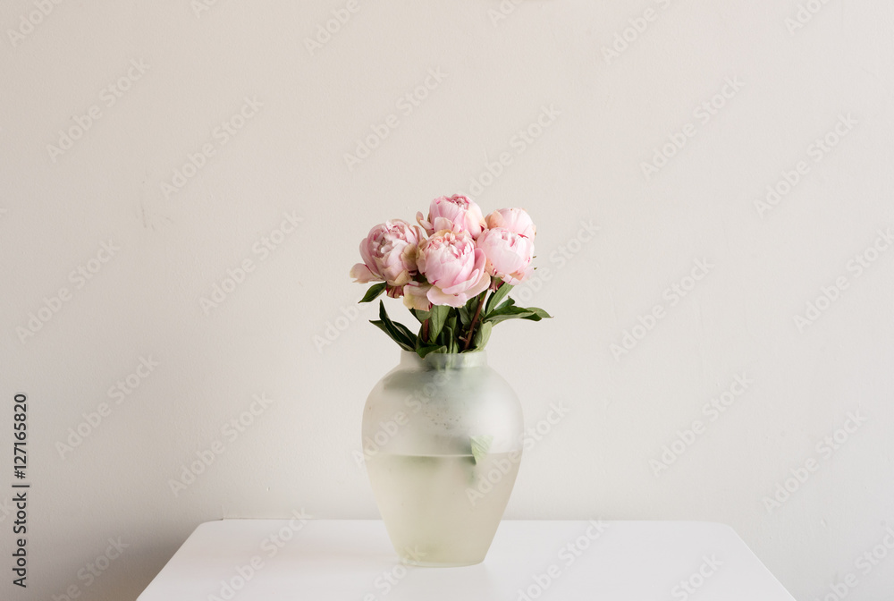 Pink peonies in glass vase on white table against neutral background