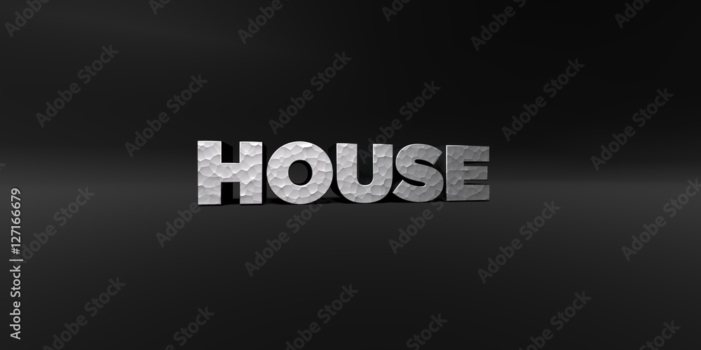 Obraz premium HOUSE - hammered metal finish text on black studio - 3D rendered royalty free stock photo. This image can be used for an online website banner ad or a print postcard.