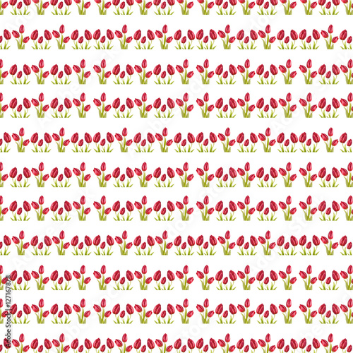 pattern scarlet tulip red flower