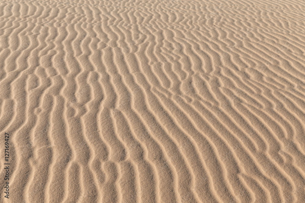 Desert sand texture asia windy summer background Desert sand texture asia windy summer background