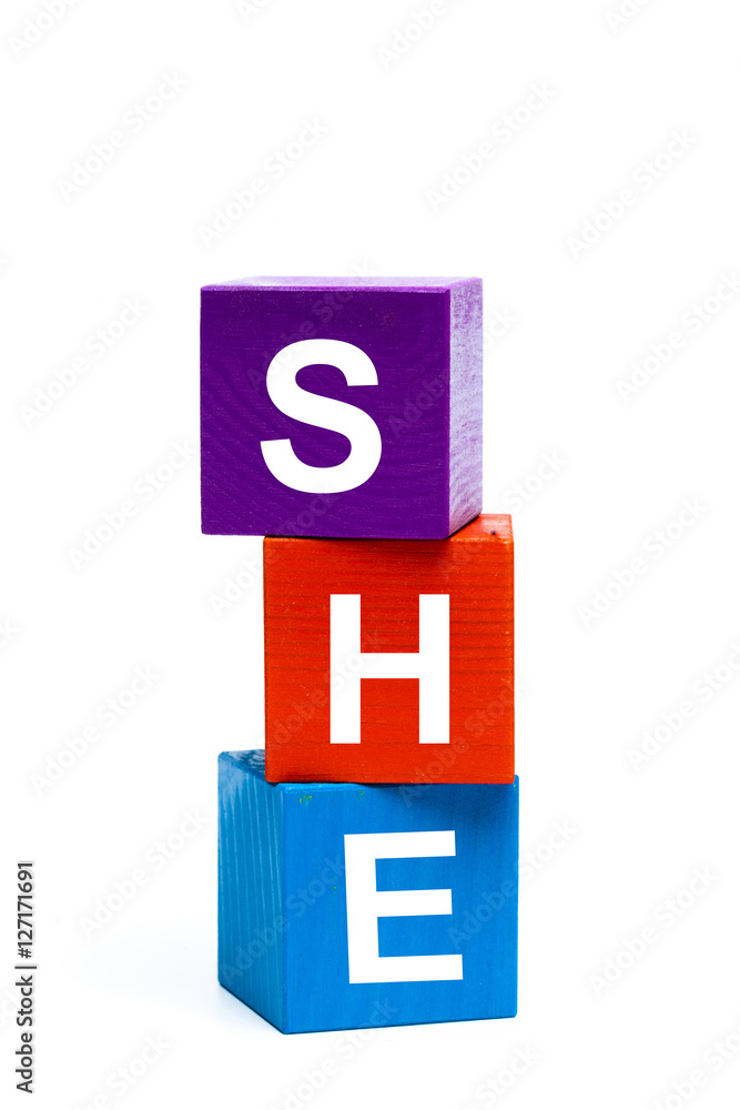 wooden toy cubes with letters. She wooden toy cubes with letters. She