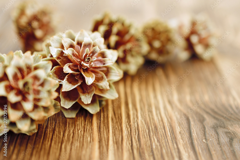 Several spruce cones on the wooden background. Several spruce cones on the wooden background.