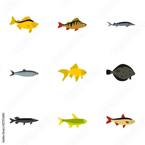 Species of fish icons set. Flat illustration of 9 species of fish vector icons for web