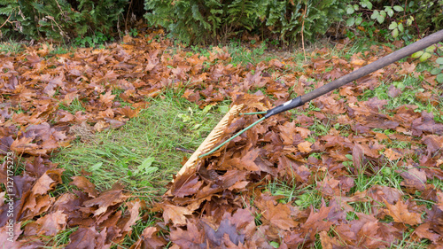 Gartenarbeit im Herbst - Herbstlaub harken mit einem Rechen