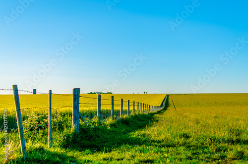 A fence running through a green countryside field on the Salisbury Plain in summer photo