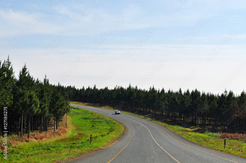 Sud Africa, 25/09/2009: il paesaggio sudafricano visto dalla N2, la celebre Garden Route, la strada panoramica della costa sud-orientale dal Wester Cape all' Eastern Cape
