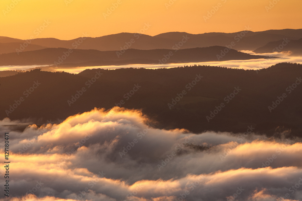 Obraz premium Summer weather phenomenon. Seasonal landscape with morning fog in valley. Clouds drenched valley below the level of the mountains. Sunrise over creeping clouds.