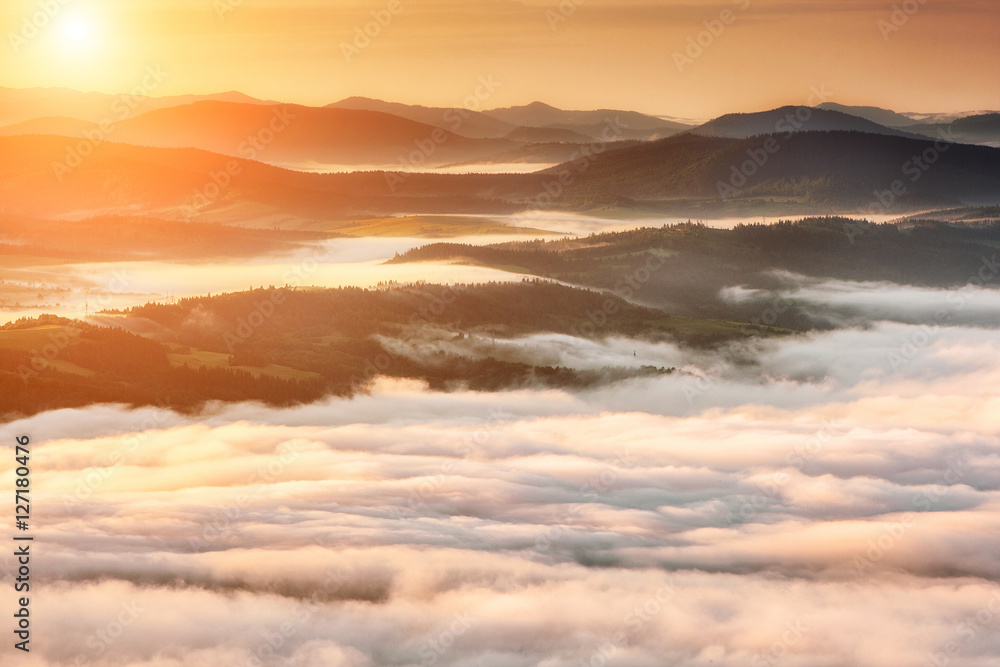 Obraz premium Summer weather phenomenon. Seasonal landscape with morning fog in valley. Clouds drenched valley below the level of the mountains. Sunrise over creeping clouds.