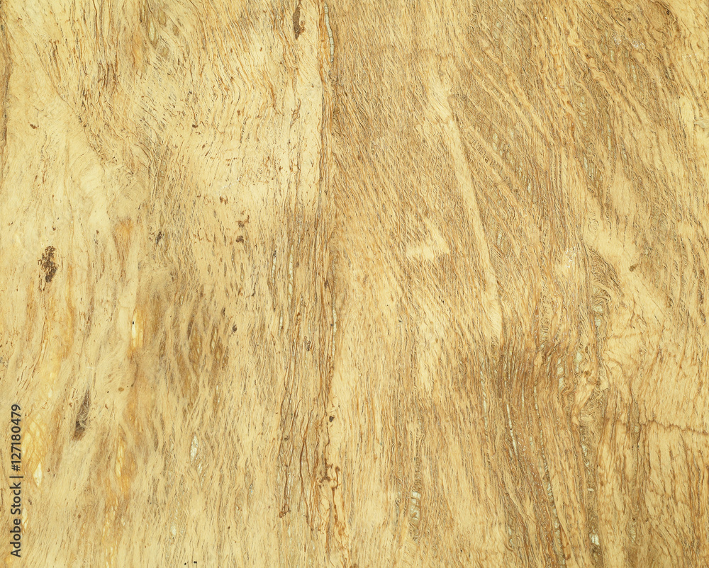 Fiber material japanese paper . Background and texture Fiber material japanese paper . Background and texture