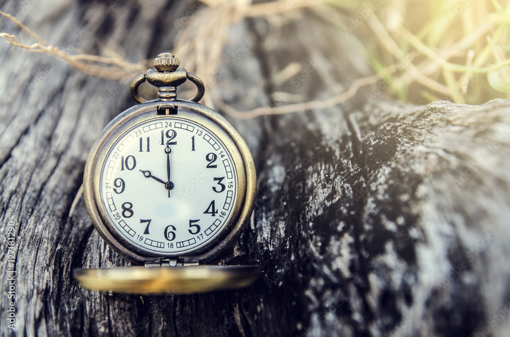 vintage pocket watch on grunge wood log