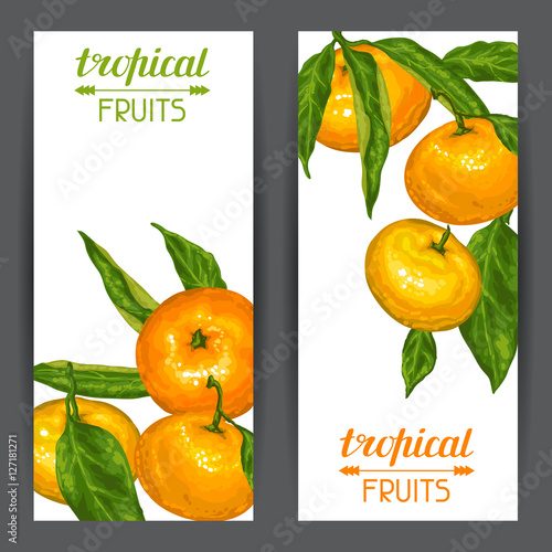 Banners with mandarins. Tropical fruits and leaves