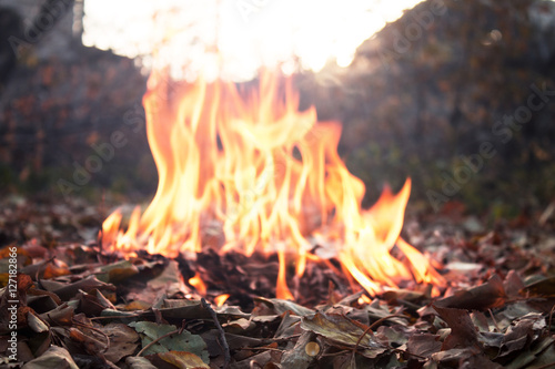 leaves and fire autumn concept