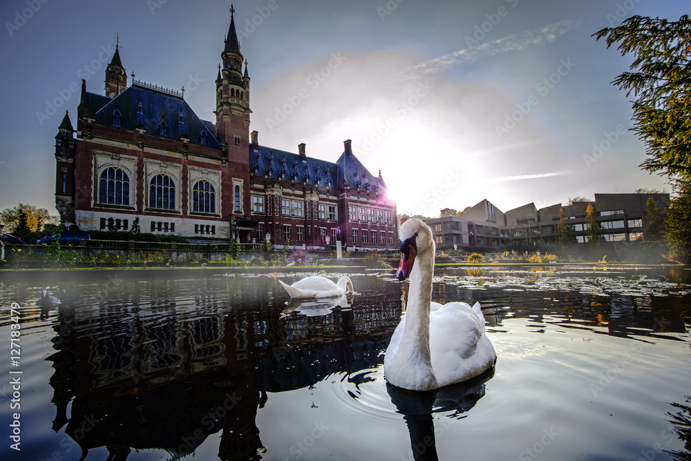 Naklejka premium Couple of swans swimming on the pond of the Peace Palace