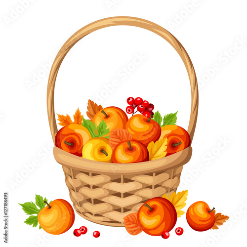 Vector basket with colorful autumn apples and leaves isolated on a white background.