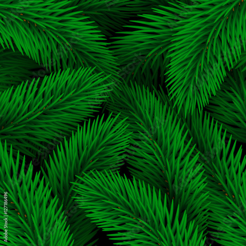 Elegant Christmas background seamless from green fir tree branches. Vector illustration for your design. Forest texture.