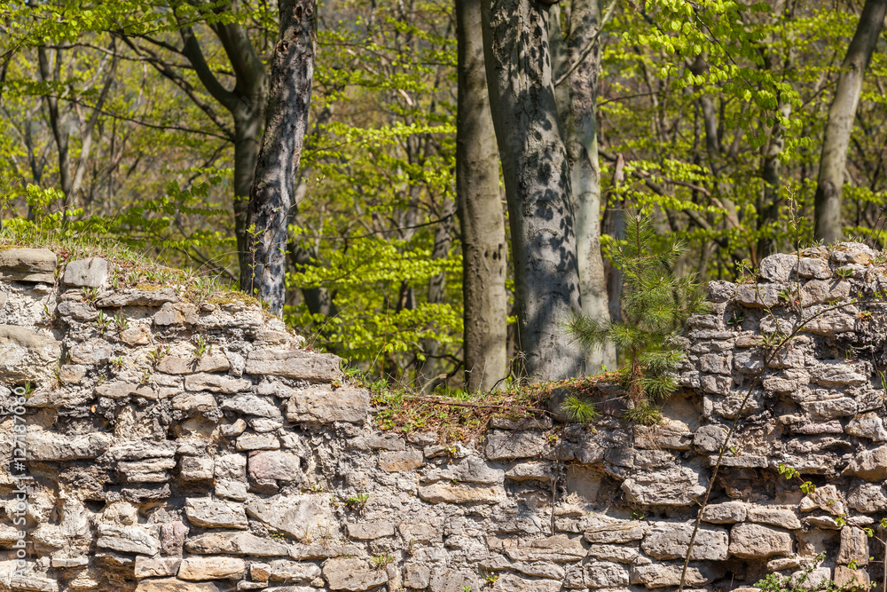 Fototapeta premium historische Mauerreste einer Burganlage