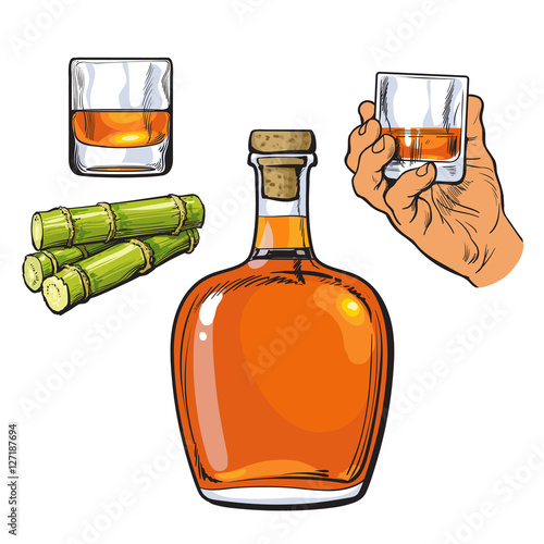 Jamaican rum bellied bottle, hand holding shot glass and sugar cane, sketch vector illustration isolated on white background. Realistic hand drawing of unlabeled rum bottle, shot glass and sugarcane