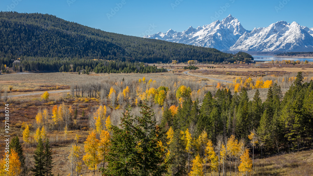 Golden autumn forest. Beautiful snow-capped mountains. Golden autumn. Grand Teton National Park, Wyoming, USA