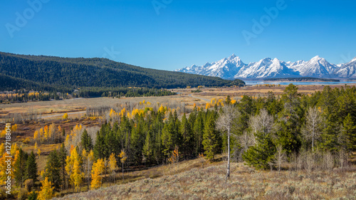 Golden autumn forest. Scenic autumn mountains. Grand Teton National Park, Wyoming, USA