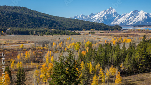 Golden autumn forest. Beautiful snow-capped mountains. Golden autumn. Grand Teton National Park, Wyoming, USA © khomlyak