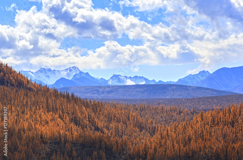 Autumn forest on a background of snow-capped mountains
