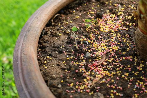 Heap of composite mineral fertilizers,on the soil in flower pot, color fertilizer ,texture background 