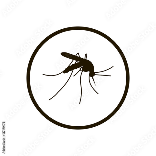 Mosquito icon vector