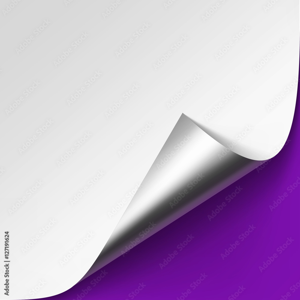 Curled Metalic Silver corner of White paper with shadow Mock up Close up Isolated on Violet Purple Lilac Background Curled Metalic Silver corner of White paper with shadow Mock up Close up Isolated on Violet Purple Lilac Background