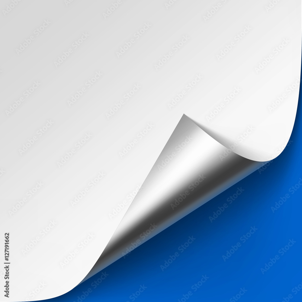 Vector Curled Metalic Silver Corner of White Paper with Shadow Close up Isolated on Bright Blue Background Vector Curled Metalic Silver Corner of White Paper with Shadow Close up Isolated on Bright Blue Background