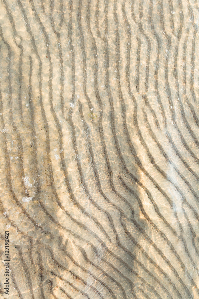 sand on the sea shallow water of Baltic sea sand on the sea shallow water of Baltic sea