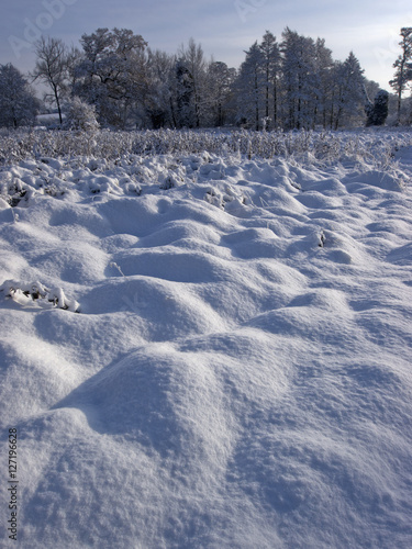 snow © david hughes