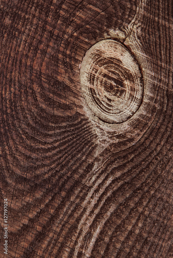 Fototapeta premium Wood background or texture