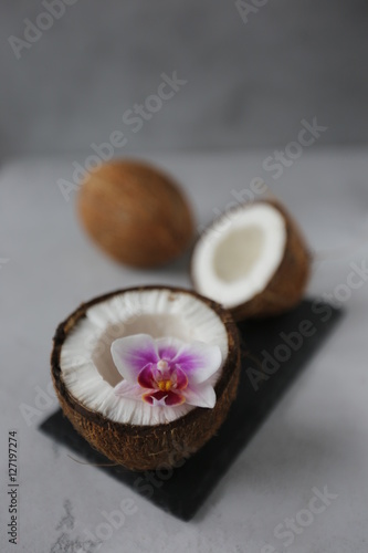 Coconuts with leaves and orchid flower, close up