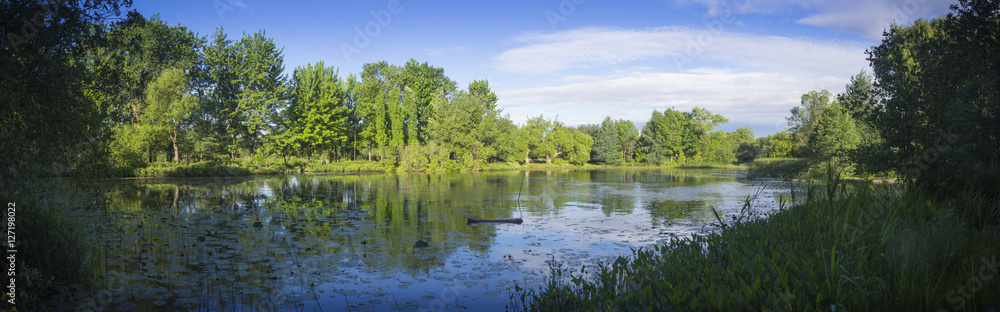 Fototapeta premium Summer landscape