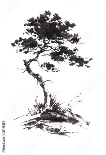 Ink illustration of growing pine tree with some grass. Sumi-e, u-sin, gohua painting stile. Silhouette made up of black brush strokes isolated on white background.