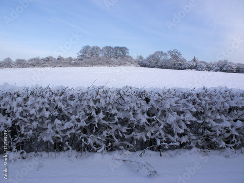 winter landscape photo